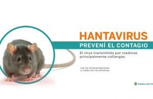 Hantavirus: ¿qué es y cómo prevenirse?
