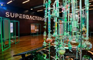 Muestra científica en el CCC: Las superbacterias