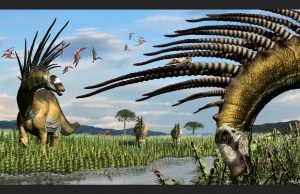 Encuentran en Argentina una nueva especie de dinosaurio con espinas en el lomo