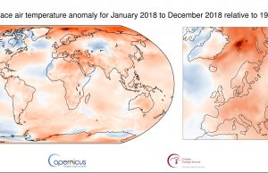 La Organización Mundial de Meteorología confirma: los últimos 4 años fueron los más cálidos desde que hay registros