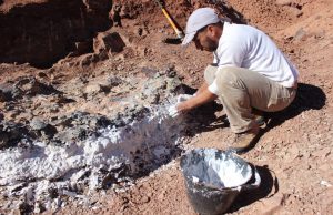 En San Juan descubren un gran “cementerio” de animales de 220 millones de años