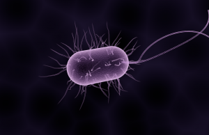 Seminario de la CE contra la resistencia bacteriana