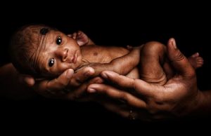 La OMS llamó la atención sobre el exceso de azúcar que se encuentra en los alimentos para bebés Una nueva opción para la nutrición de los primeros meses.