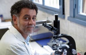 Investigadores del Conicet proponen recurrir a la nanotecnología para tratar la hipertensión