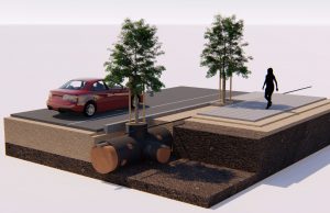 TreeTube: un invento israelí para que los árboles no rompan las aceras