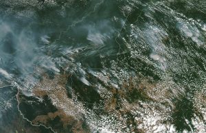 Deforestación e incendios en la Amazonia