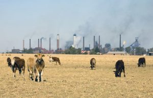 El reporte oficial del clima en Argentina en el 2021, según los climatólogos locales Los problemas medioambientales también causan enfermedades y sufrimiento en los más chicos.