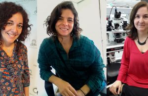 Reconocido premio internacional para tres científicas argentinas