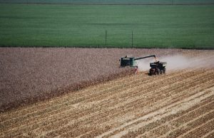 Nuevo estudio del INTA: el 36% del suelo argentino sufre procesos de erosión
