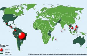 Alerta por dengue: 2019 ya tiene récord de casos en la región