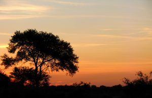 La ONG ambientalista FVSA le “escribe” al nuevo presidente argentino