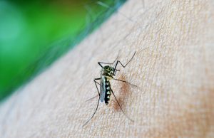 Confirman 68 casos de dengue en el país y habrá más afectados