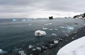 ¿Cambio climático? En la antártida argentina se registró una temperatura récord de 18,3ºC
