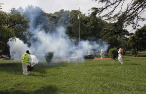Se expande el dengue: ya circula en 11 provincias de la Argentina Fumigación contra el mosquito.