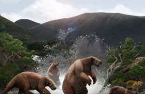 Encuentran en Ecuador los fósiles de un “yeti” americano