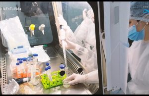 Científicos argentinos se alistan contra el coronavirus Laboratorio de investigación