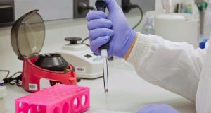 Científicos argentinos analizan la variaciones y mutaciones del coronavirus. (Gta: Conicet).