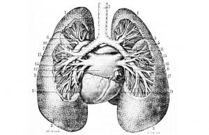 Duda: ¿tratamiento de ibuprofeno contra el Coronavirus? Un tratamiento que todavía no tiene evidencia científica que lo respalde.