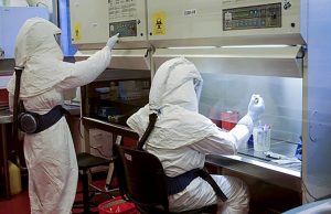 Por ahora la OMS no tiene pruebas de que las nuevas variantes del virus agraven la enfermedad Un labo de alta seguridad en el Malbrán.