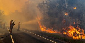 Incendios descontrolados en diferentes países del mundo.