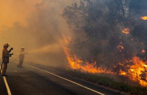 Según la ONG Vida Silvestre Argentina entró en default ambiental Incendios descontrolados en diferentes países del mundo.