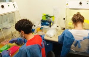 La ANMAT autorizó el uso de un nuevo kit del Conicet para hacer PCRs más veloces y baratas