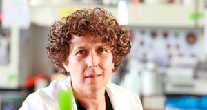 La Academia Estadounidense de las Artes y las Ciencias designó como nuevo miembro a Andrea Gamarnik, científica del CONICET en la Fundación Instituto Leloir.