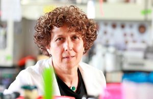 La argentina Andrea Gamarnik fue incorporada a la Academia de Ciencias de EE.UU. La Academia Estadounidense de las Artes y las Ciencias designó como nuevo miembro a Andrea Gamarnik, científica del CONICET en la Fundación Instituto Leloir.