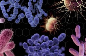 La incapacidad para desarrollar nuevos antibióticos estimula la resistencia bacteriana