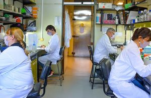 El Leloir y el Conicet desarrollarán una vacuna anti-Covid de 2° generación Verónica López (izq.), Felipe Nuñez, Eduardo Cafferata y Sabrina Vinzón, investigadores del Laboratorio de Terapia Molecular y Celular en el Instituto Leloir.