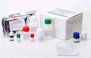 La ANMAT le dio el OK a un nuevo kit nacional para medir concentración de anticuerpos Este desarrollo 100% nacional nos permite reemplazar importaciones.