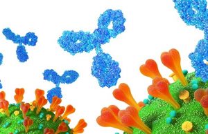 Aprobaron un nuevo anticuerpo monoclonal contra el Covid-19 El tratamiento con sotrovimab redujo un 85% el riesgo de hospitalización o muerte en pacientes adultos ambulatorios.