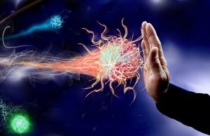 ¿Qué se sabe hoy sobre la duración de las defensas contra el SARS-CoV-2? La respuesta defensiva tiene muchos actores, cada uno con funciones específicas.