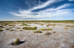 Científicos del INTA elaboraron el primer mapa de suelos afectados por la salinización Suelos salinos