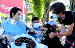 Argentina es pionera en recurrir a los animales que curan Perros que curan