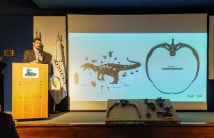 Hallaron en la Patagonia los restos de un nuevo dinosaurio gigante Fósil. El dinosaurio hallado lleva un nombre de la mitología tehuelche, Maip. Se trata de un ser maligno que mataba usando el frío. | GZA. CONICET