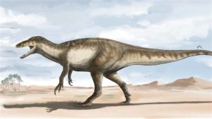 Fósil. El dinosaurio hallado lleva un nombre de la mitología tehuelche, Maip. Se trata de un ser maligno que mataba usando el frío. | GZA. CONICET