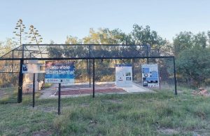 Una investigadora de la CNEA patentó un procedimiento de biorremediación el procedimiento consiste en aumentar significativamente la capacidad que tienen algunas plantas de captar elementos químicos