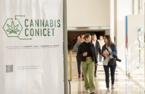 El Conicet lanzó una empresa de base científica que busca estimular la industria del cannabis Cannabis conicet