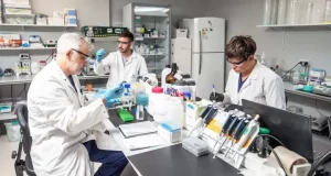 . Los estudios podrian estar terminados en el 2025 para que Anmat los apruebe.