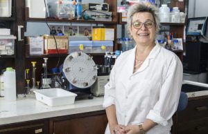 Premian por sus innovaciones en biomateriales a una investigadora del Conicet Carla Giacomelli, investigadora del Conicet en el Instituto de Investigaciones en Físico-Química de Córdoba,