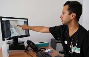 La viruela del mono se llamará a partir de ahora “Mpox” La OMS adoptará el término mpox en sus comunicaciones, y anima a otros a seguir su ejemplo.