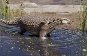 Revelan la existencia de un nuevo dinosaurio que vivió en la Patagonia hace 70 millones de años Reconstrucción digitalizada de Patagopelta a orillas de un río. Se estima que vivían en humedales. (Gabriel Díaz Yantén)