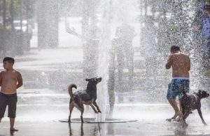 El verano que se viene: olas de calor y poca lluvia para las zonas más pobladas del país Las temperaturas serán muy altas, y las perspectivas de lluvias para la Patagonia cordillerana no son buenas.