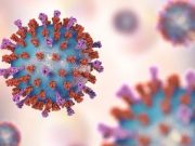 El brote de bronquiolitis podría durar entre 6 y 8 semanas más Las infecciones por VSR afectan particularmente a los menores de 1 año y mayores de 60 años.