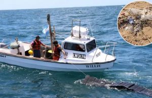 Utilizan imágenes satelitales para detectar la presencia de residuos plásticos en el Mar Argentino Desechos. De los residuos sólidos, los plásticos son los más abundantes en el mar y las costas, ya que representan casi el 80% del total. | CONAEI INIDEP