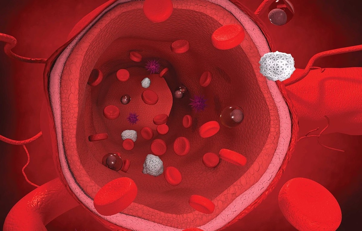 Con modelos computacionales se pueden estudiar las arterias.