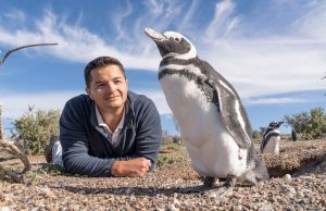 Un biólogo argentino galardonado con el equivalente al”Nobel” de temas ambientales El biólogo Pablo Borboroglu, un destacado investigador y conservacionista argentino, acaba de recibir uno de los más prestigiosos premios globales dedicado a temas de ecología y sustentabilidad.