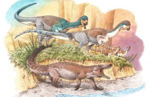 El Museo Argentino de Ciencias Naturales celebró su 211º aniversario Se presentó la reconstrucción del esqueleto del cocodrilo Burkesuchus mallingrandensis.