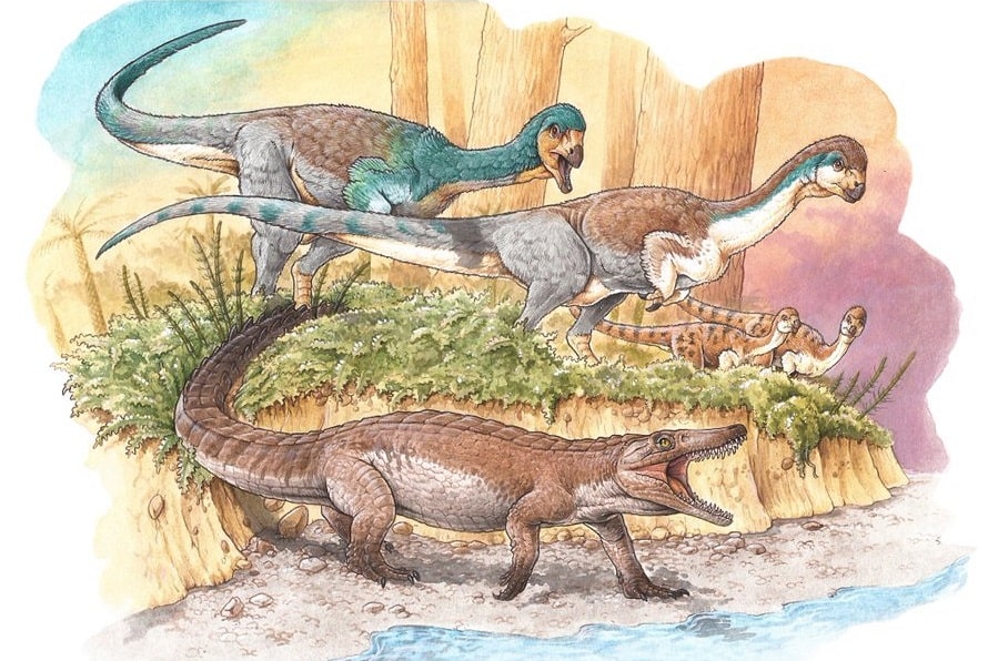 Se presentó la reconstrucción del esqueleto del cocodrilo Burkesuchus mallingrandensis.